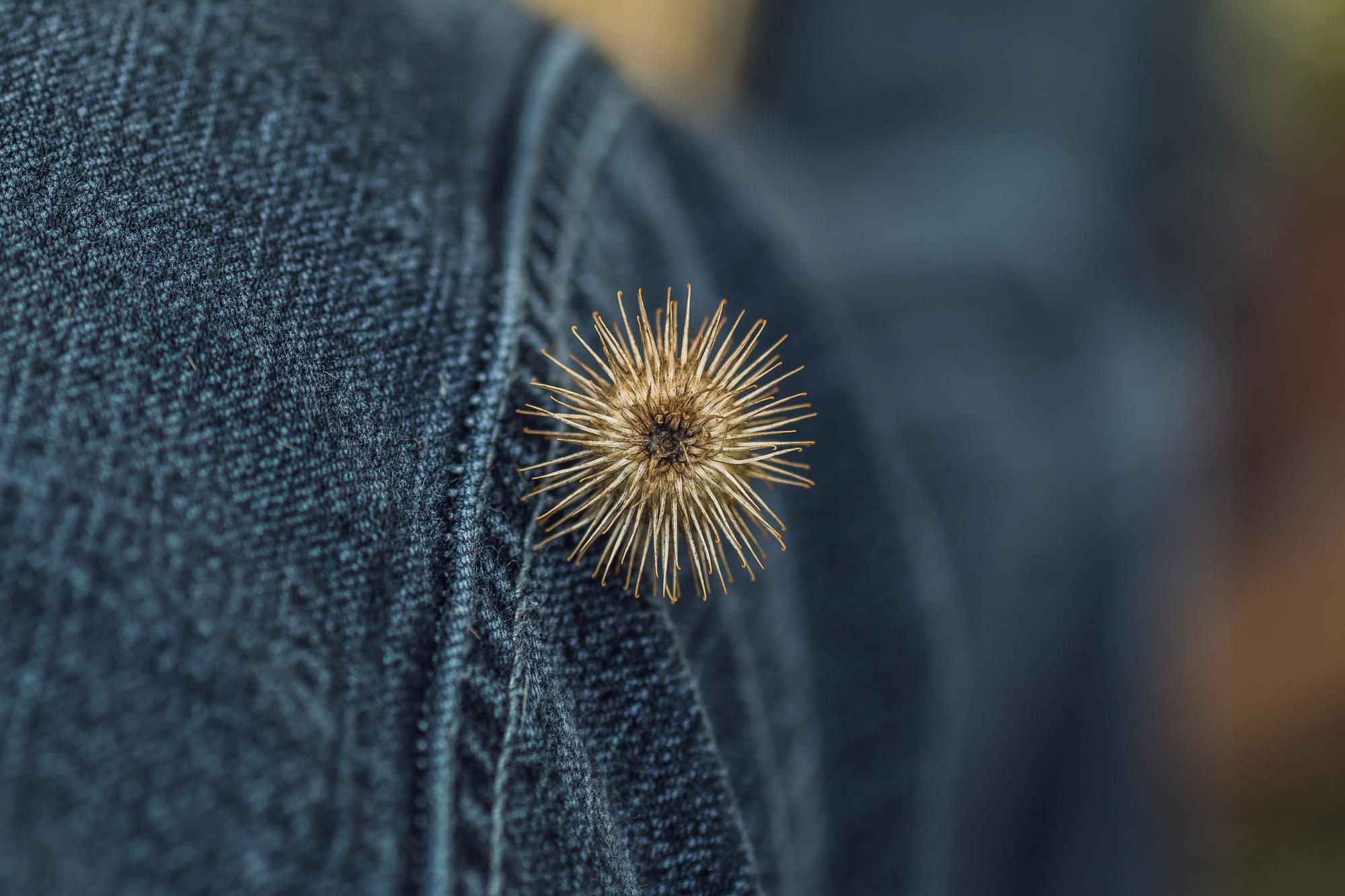 detaliu densitate cusături pe jachetă denim